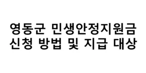 2026년 영동군 민생안정지원금 신청 방법 및 지급 대상