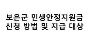 2026년 충북 보은군 민생안정지원금 신청방법 및 지급 대상 총정리