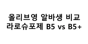 올리브영 알바생이 비교하는 라로슈포제 B5 vs B5+