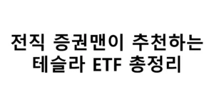 전직 증권맨이 추천하고 투자하는 테슬라 ETF